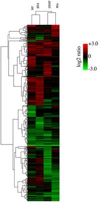 Differential Hepatic Gene Expression Profile of Male Fathead Minnows Exposed to Daily Varying Dose of Environmental Contaminants Individually and in Mixture